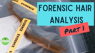 Forensic Science and Hair Analysis Part 1 [upl. by Nnaeirelav]