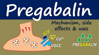 Pregabalin  Mechanism side effect and uses [upl. by Reibaj]