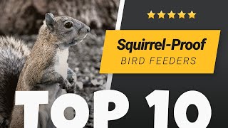 Best Squirrel Proof Bird Feeders [upl. by Howe]