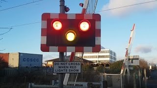 Rare Request Crossing at Manor Way Level Crossing London [upl. by Myrtie]