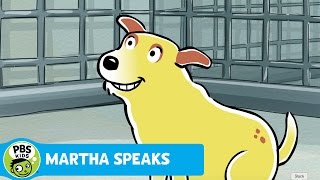 MARTHA SPEAKS  Puppy Martha  PBS KIDS [upl. by Einnok]