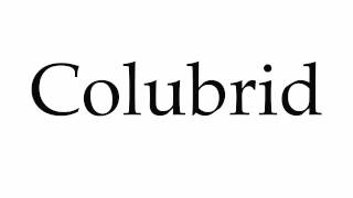 How to Pronounce Colubrid [upl. by Nilok]