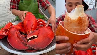 Fisherman Eat Giant Lobster Mukbang  Chinese Seafood Mukbang Show [upl. by Aynekal]