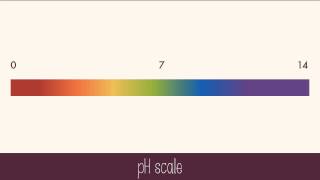 Hydrogen Ions and Acidity [upl. by Alue941]