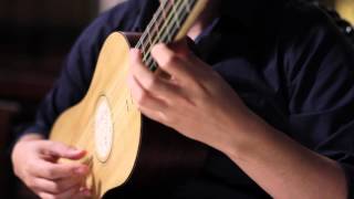 Canarios  Gaspar Sanz  Baroque Guitar [upl. by Waddington]