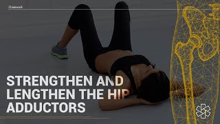 Exercises to STRENGTHEN amp LENGTHEN the Hip Adductors [upl. by Nereus]