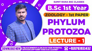 Lt01 Phylum  Protozoa Part1  BSc1st Year Zoology [upl. by Ahcilef123]