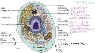 Biochemistry Lecture 1 Introduction [upl. by Schuh]