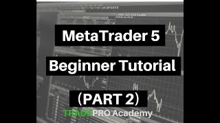 MetaTrader 5 Beginner Tutorial Part 2 [upl. by Dnalwor]