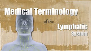 Medical Terminology of the Lymphatic System [upl. by Adnilim396]