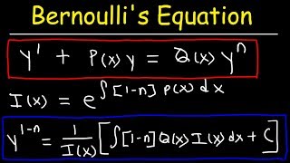 Bernoullis Equation For Differential Equations [upl. by Aidyl]