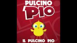 Pulcino Pio top 12 [upl. by Yllil]