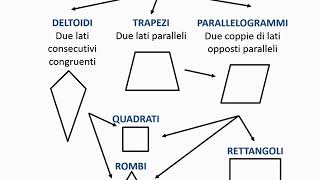 I quadrilateri [upl. by Kcirtap]