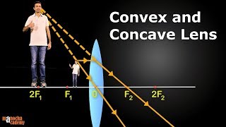 Convex and Concave Lenses [upl. by Jobie]