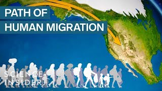 Map Shows How Humans Migrated Across The Globe [upl. by Antsirhc]