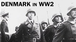 Denmark in World War 2  The Danish Resistance  Documentary Short  1944 [upl. by Drannel]