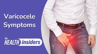 Varicocele Symptoms and Causes [upl. by Katzir]