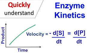 Enzyme kinetics [upl. by Yenaffit]