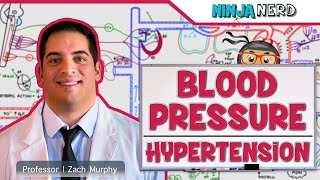 Cardiovascular  Blood Pressure Regulation  Hypertension [upl. by Hsan]