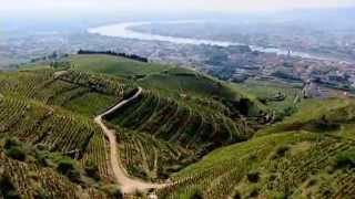 Discover The Wines of the Rhone Valley Part 1 of 3 [upl. by Utas133]