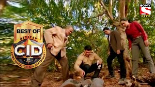 Best of CID Bangla  সীআইডী  The Secret Of Tree  Full Episode [upl. by Edi62]