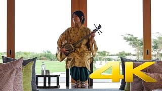 Okinawa Sanshin Music  三線 島唄  4K Ultra HD [upl. by Eniotna]