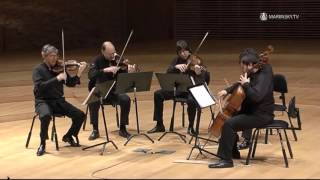 Franz Schubert String Quintet in C Major D 956 [upl. by Hedwig]