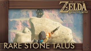 Zelda Breath of the Wild  All Rare Stone Talus Locations [upl. by Lienad]