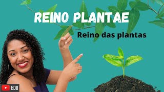 Aula Reino das Plantas Plantae [upl. by Barney757]