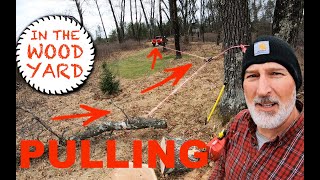 305  How to Pull Trees with a Rope and Pulley [upl. by Tessil984]