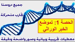 الثانية باك علوم الحياة و الارض  الحصة 1 تموضع الخبر الوراثي [upl. by Elehcin]