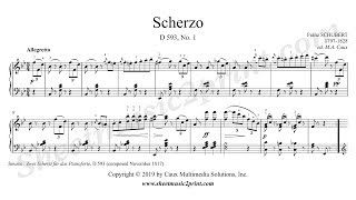 Schubert  Scherzo D 593 No 1 [upl. by Ojadnama]