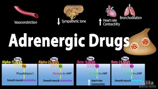 Adrenergic Drugs  Pharmacology Animation [upl. by Sunny]