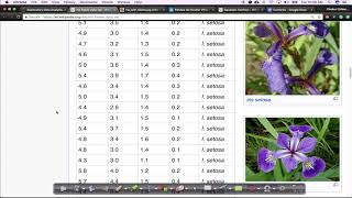 Iris Dataset EDA Lecture1 Applied AI Course [upl. by Jasmina]