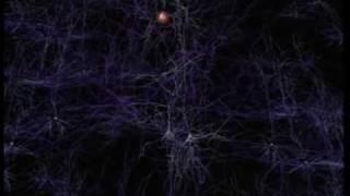 Neurons and how they work [upl. by Ardna]