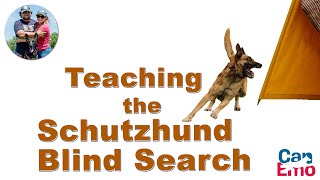 Training The Blind Search for Schutzhund [upl. by Airdnua]