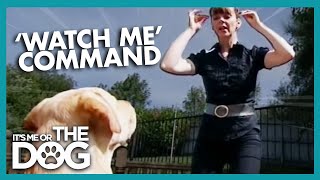 How to Use Vocal Commands  Its Me or the Dog [upl. by Mloc]