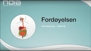 Fordøyelsen [upl. by Faires827]