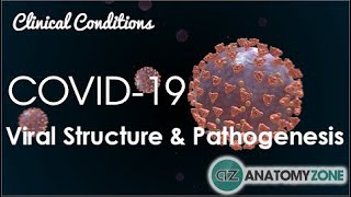 Coronavirus COVID19  Viral Structure amp Pathogenesis [upl. by Emery]