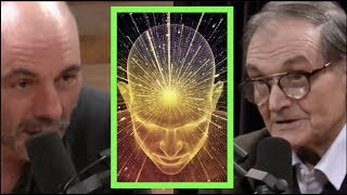 Joe Rogan  Mathematician on Trying to Measure Consciousness [upl. by Nairda]