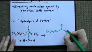 What is Hydrolysis  Examples [upl. by Enailuj404]