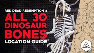 Red Dead Redemption 2  All 30 Dinosaur Bones Location Guide amp Reward [upl. by Yerdna]