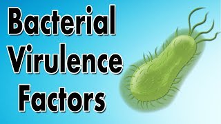 Bacterial Virulence Factors [upl. by Schick]