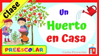 UN HUERTO EN CASA Aprendeencasa PREESCOLAR [upl. by Ahgem938]