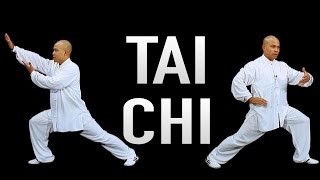 Tai Chi Daily  14 minute Tai Chi Routine [upl. by Ytte]