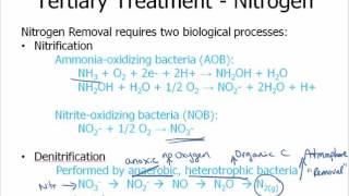 Wastewater Treatment  Nutrient Removal Intro [upl. by Clough]