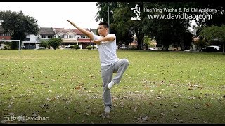 Five Stance Form 五步拳 Wu Bu Quan  Kung Fu Wushu Changquan [upl. by Locin]