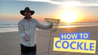 Goolwa Beach  How to Cockle [upl. by Inittirb]