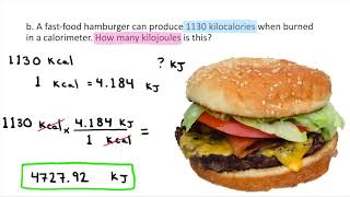 Converting between Kilocalories and Kilojoules [upl. by Knuth]