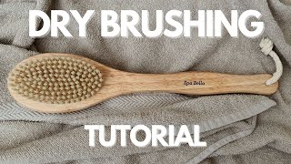 Dry Brushing Tutorial [upl. by Tabshey]